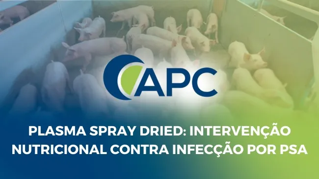 Estratégias nutricionais para melhorar a eficácia da vacina contra a  Peste Suína Africana