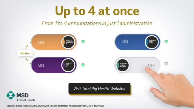 UP TO 4 AT ONCE: New approved combination of MSD Animal Health ID vaccines.