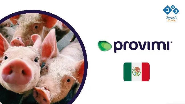 Provimi México se une a la comunidad profesional 333 para impulsar el conocimiento económico en el sector porcino