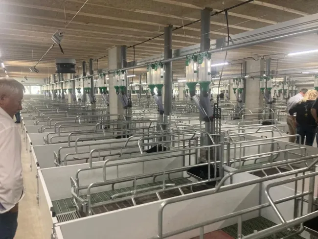 un granja de 4000 madres double planta en hongaria