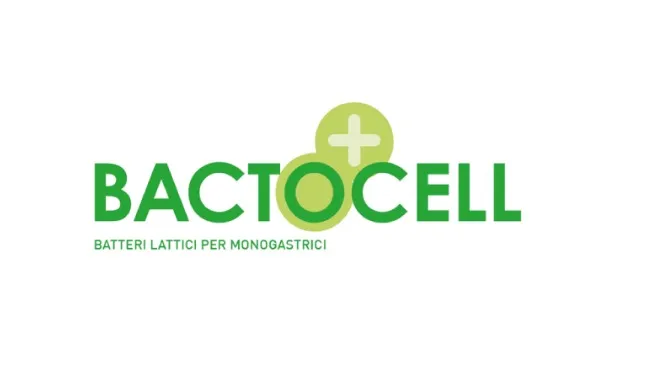 NUOVO PASTONE - UNA FASE DELICATA