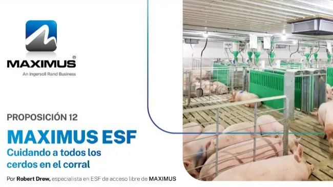 Maximus ESF: cuidando a todos los cerdos en el corral