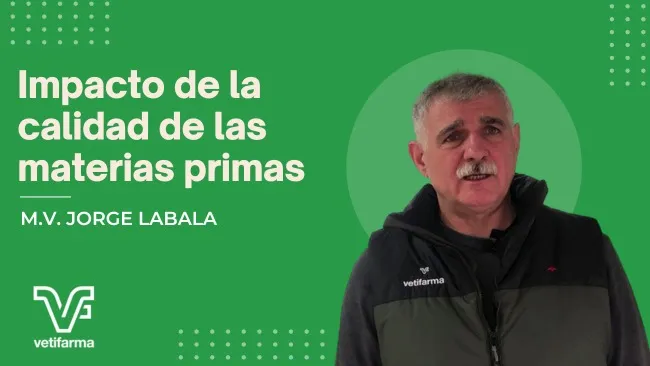 [Cápsula] Calidad de materias primas y su impacto económico en la producción porcina