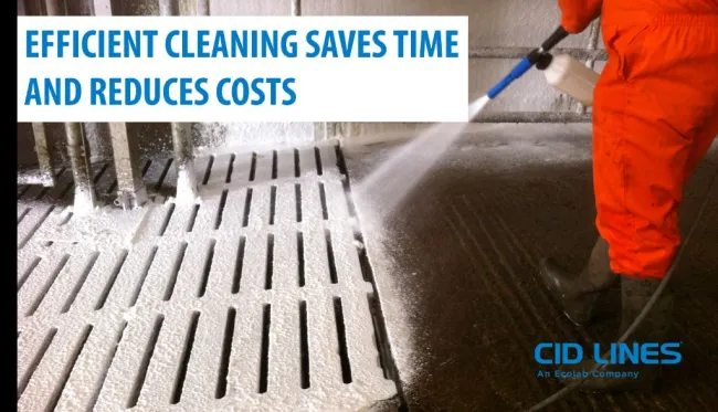 Understanding how to clean surfaces at your farm will pay off: saving ...