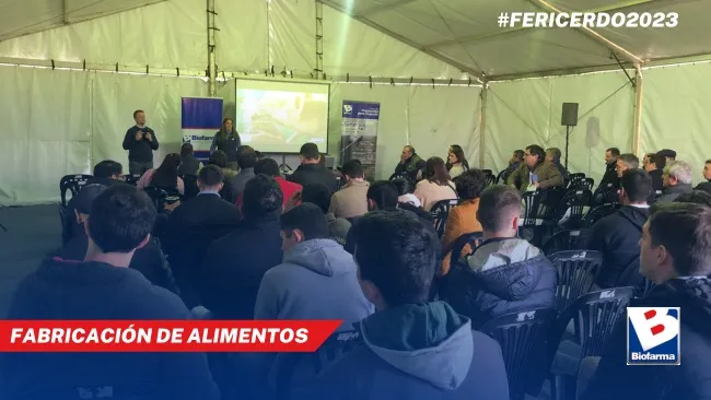 Importancia de la fabricación de alimentos para cerdos