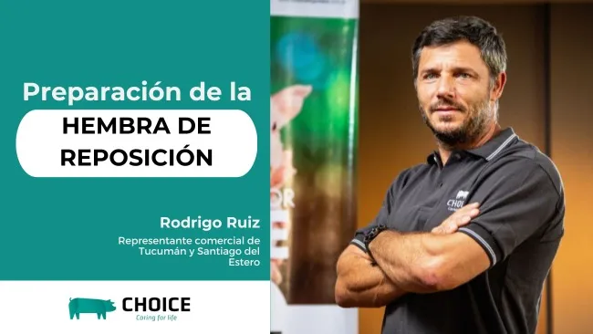[Cápsula] 4 objetivos a cumplir en la preparación de la cachorra