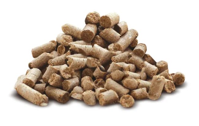 EXG Sp Z o.o » wholesale exporter of agricultural products from Ukrai...