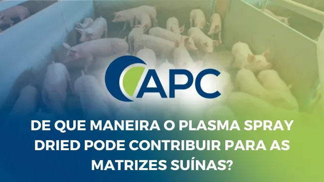A produção de matrizes e leitegadas é otimizada quando o plasma é incluído na dieta de lactação
