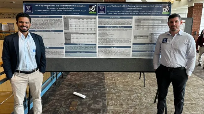 Dois artigos científicos da Vetanco Brasil são expostos no Leman Swine Conference em Minneapolis/EUA 