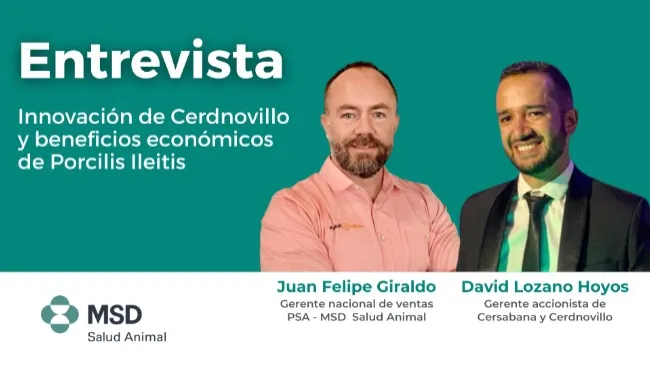 [Entrevista] Innovación de Cerdnovillo y los beneficios económicos de Porcilis Ileitis, con David Lozano