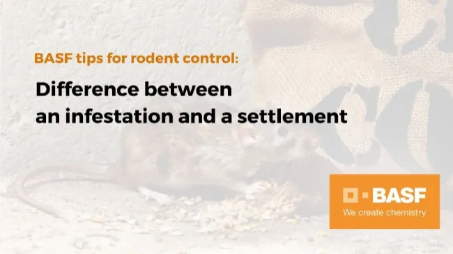 Difference between an infestation and a settlement