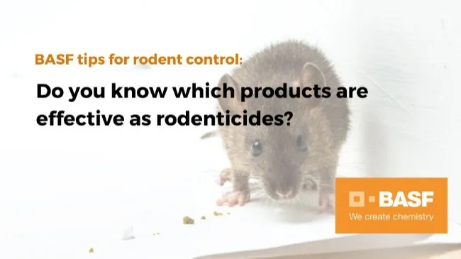 Do you know which products are effective as rodenticides?