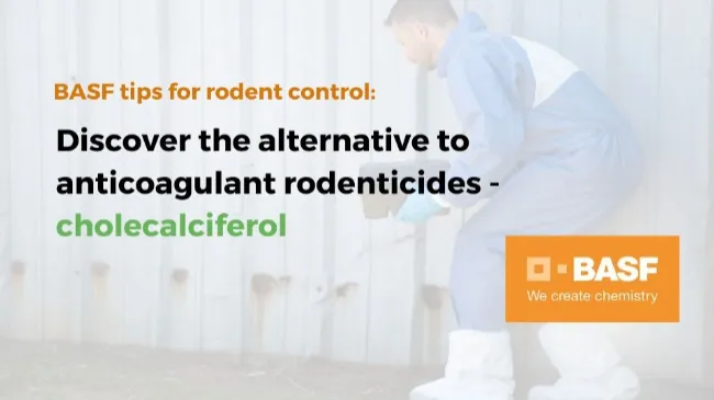 Discover the alternative to anticoagulant rodenticides - cholecalciferol
