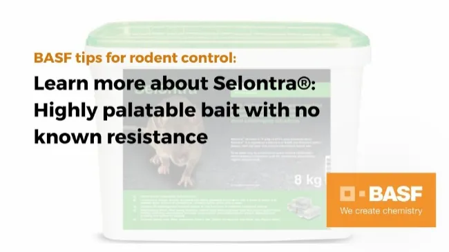 Learn more about Selontra®: Highly palatable bait with no known resistance.