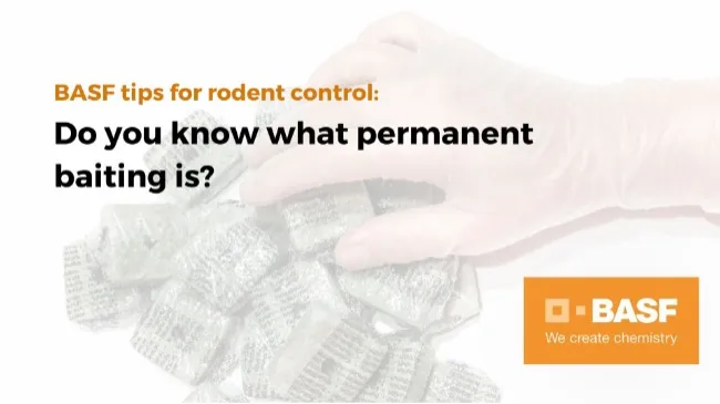 Do you know what permanent baiting is?