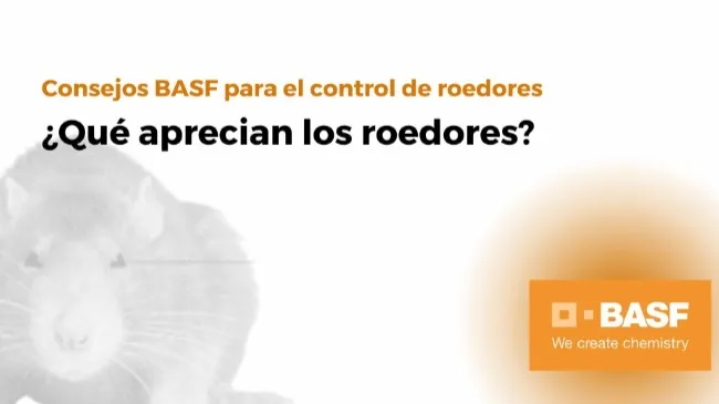 ¿Sabías qué aprecian los roedores?