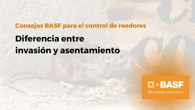 Diferencia entre invasión y asentamiento