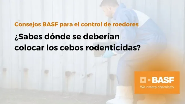 ¿Sabes dónde se deberían colocar los cebos rodenticidas?