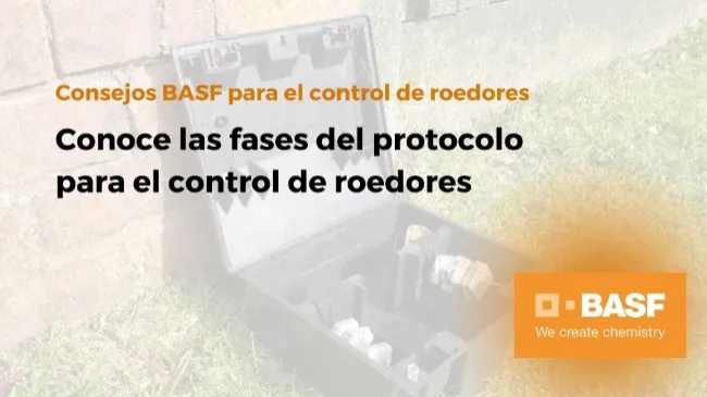 Conoce las fases del protocolo para el control de roedores