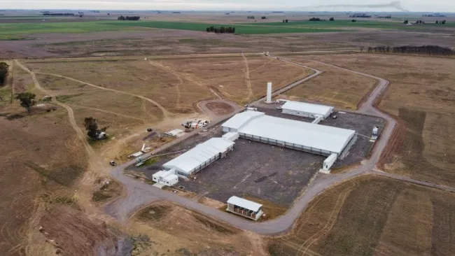 Agroceres PIC inaugura moderna UDG na Argentina e intensifica expansão de sua estrutura de Genética Líquida