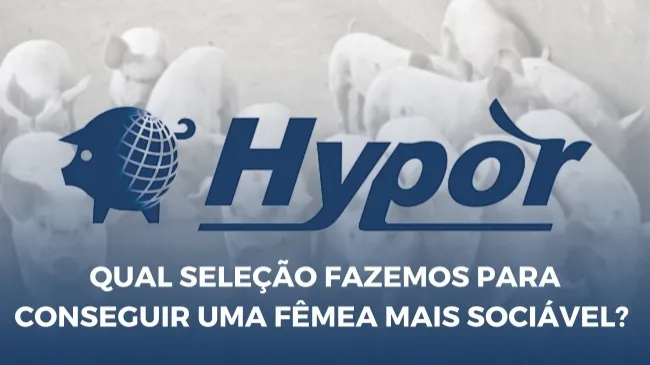 Matrizes com habilidades sociais têm múltiplas vantagens