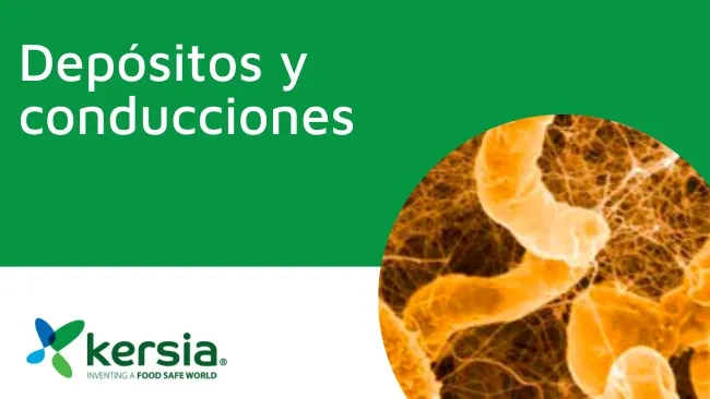 La importancia de las líneas de bebida