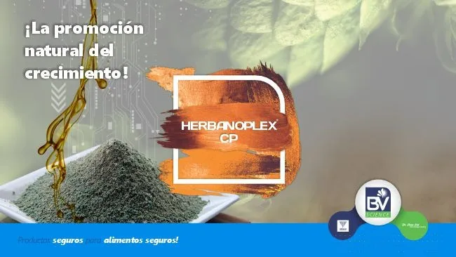 HERBANOPLEX CP: Promotor natural del la salud intestinal en porcinos