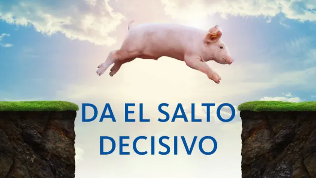 Denkavit lanza Terragut, un nuevo aditivo para alimentación animal
