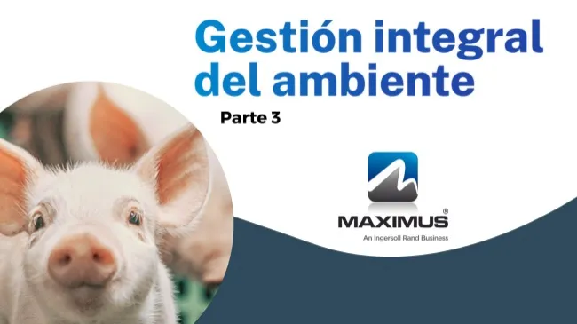 Gestión integral del ambiente. Parte 3: ¿Entendemos los efectos fisiológicos del estrés por calor en cerdos?