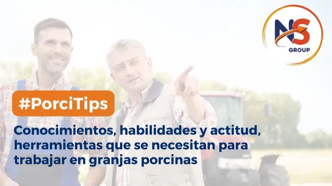 Conocimientos, habilidades y actitud, herramientas que se necesitan para trabajar en granjas porcinas