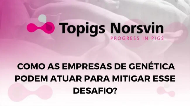 Incidência de prolapso em órgãos pélvicos em matrizes