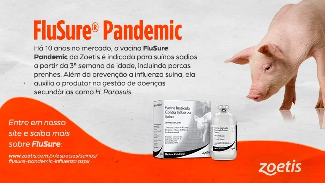 Influenza suína: saiba como proteger seu plantel com segurança e eficácia 