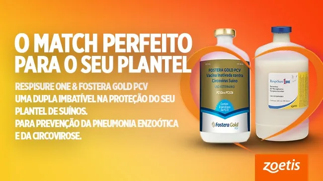 Fostera Gold PCV e RespiSure One®: a combinação perfeita para a proteção do seu plantel