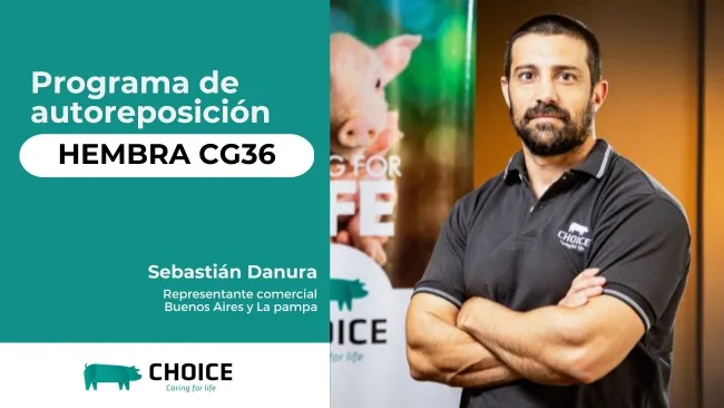 [Cápsulas] Programa de autoreposición de hembras CG36