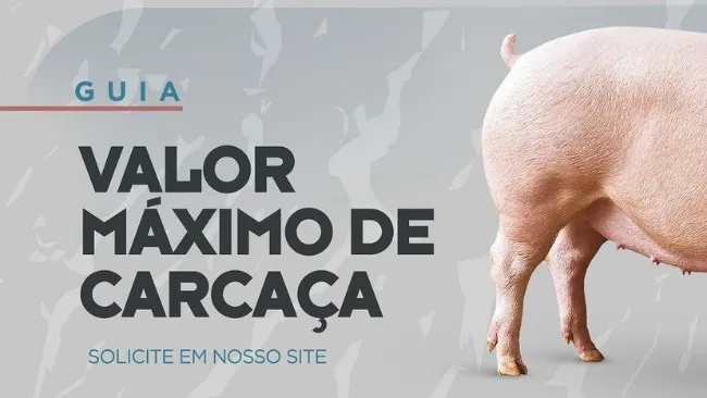 Agroceres PIC lança Guia Valor Máximo de Carcaça