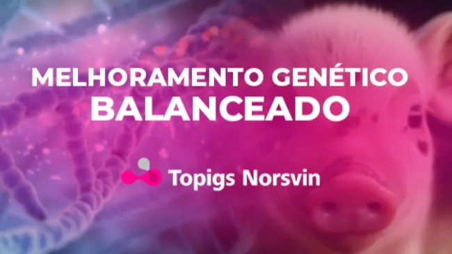 Equilíbrio entre os benefícios econômicos e o bem-estar animal