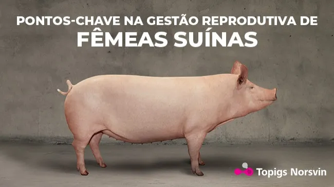 Fatores que influenciam a produtividade de um plantel