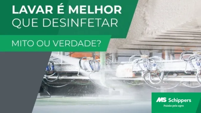  Limpeza e desinfecção: complementares para reduzir a pressão de infecção ambiente