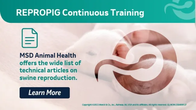 The ReproPig Continuous Training on the web.