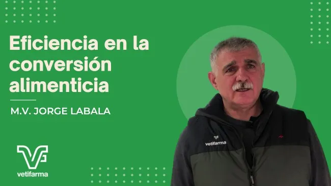 [Cápsula] Eficiencia en nutrición de la mano de Vetifarma