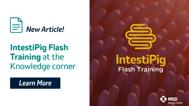All MSD Animal Health IntestiPig Flash Training already available!