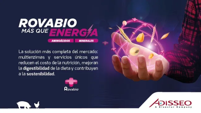 Más que energía: Uso de Rovabio® para optimizar la digestibilidad de los nutrientes de la dieta