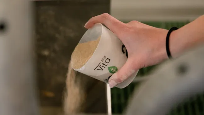 LOS SUPLEMENTOS NUTRICIONALES ADICARE, UNA VISIÓN HOLÍSTICA DE LA ALIMENTACIÓN PORCINA
