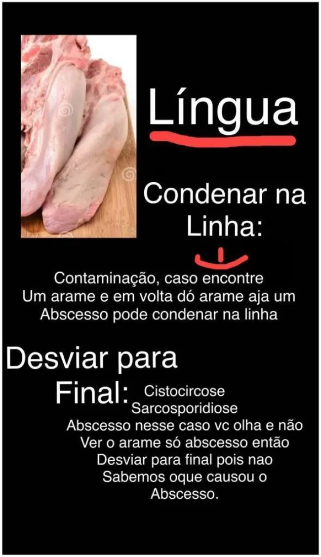 lingua, sistocercose, sarcosporidiose 