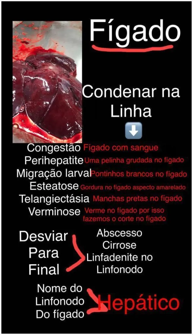 pulmão, esteatose, perihepatite, migração larval, telangiectasia, v...