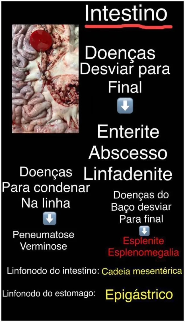 enterite,, abcesso, linfadenite, peneumatose,verminose( cadeia mesent�...
