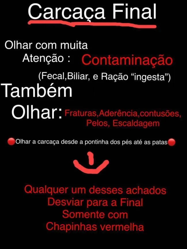 fraturas, contusões, pelos, escaldagem, aderência 