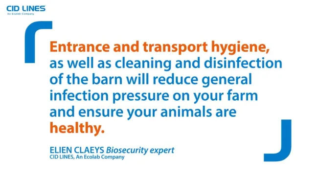 We invest in research and we partner with animal health experts to bri...