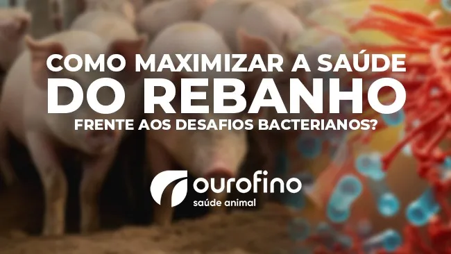 Equilíbrio entre o uso responsável de antibióticos e a manutenção da saúde dos animais é fundamental