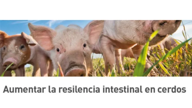 Asistimos al Simposio de Phileo by Lesaffre